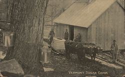 Vermont Sugar Camp Postcard Postcard Postcard