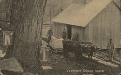 Vermont Sugar Camp Postcard