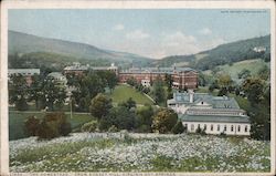 "The Homestead" from Sunset Hill Hot Springs, VA Postcard Postcard Postcard