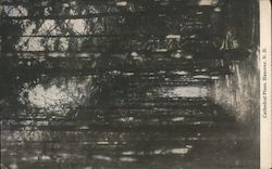 Cathedral Pines Postcard