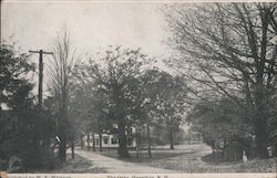 The Oaks Postcard