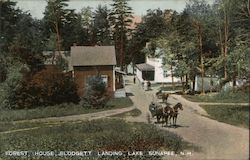 Forest House, Blodgett Landing, Lake Sunapee Postcard