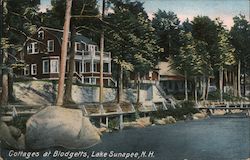 Cottages at Blodgetts, Lake Sunapee Newbury, NH Postcard Postcard Postcard