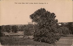 The Lone Oak, Golf Links South Orange, NJ Postcard Postcard Postcard