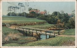 Natural Hazard, Seventeenth Hole No. 2 Course, The Belleview Postcard