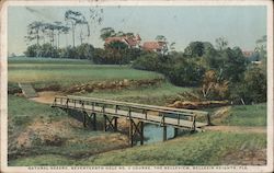 Natural Hazard, Seventeenth Hole No. 2 Course, The Belleview Belleair, FL Postcard Postcard Postcard