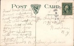 back