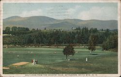 Golf Links from the Country Club, White Mts. Postcard