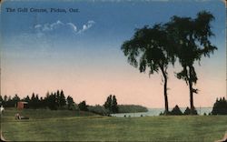 The Golf Course Postcard