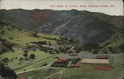 Golf Links at Avalon Postcard