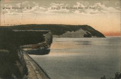 A Way to the Northward Blomidon Rose Postcard