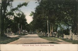 Plymouth Street Postcard