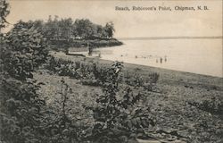 Beach, Robinson's Point Postcard