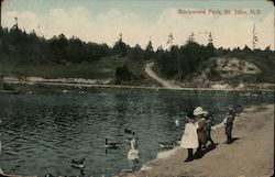 Rockwood Park Postcard