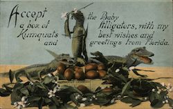 Accept a Box of Kumquats and the Baby Alligators Postcard