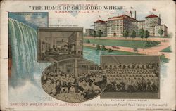 Views In and About Niagara Falls N.Y. "The Home of Shredded Wheat" Postcard