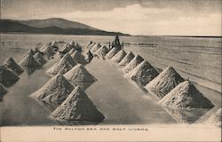 The Salton Sea and Salt Works Postcard