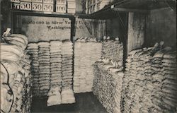 10,000,000 in Silver Vault Postcard