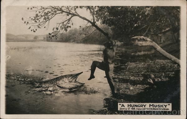 A Hungry Musky - Large Fish After Fisherman Exaggeration