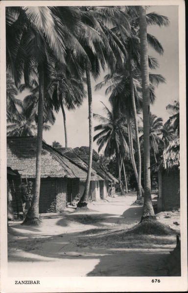Street View Zanzibar Tanzania S. Skulina Africa