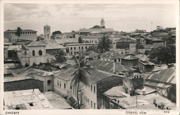 General View of Zanzibar Tanzania Africa