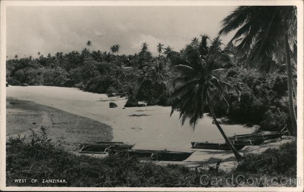 Beach West of Zanzibar Tanzania Africa