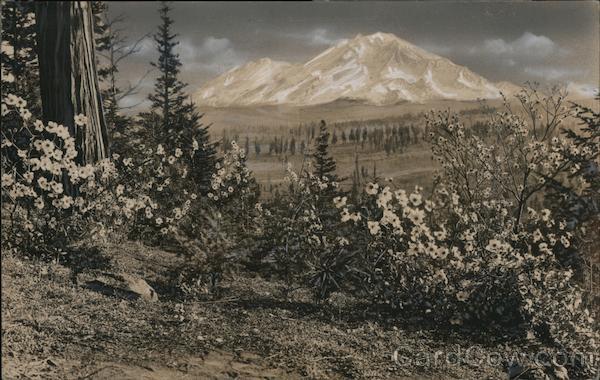 View of Mount Shasta California