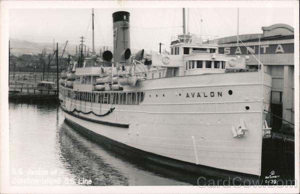 Steamer Avalon Steamers