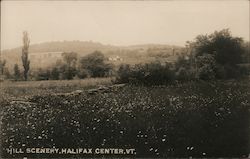 Hill Scenery Postcard