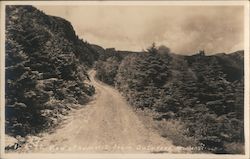 View of Mt. Mansfield Summit From Auto road Underhill, VT Postcard Postcard Postcard