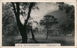 Late Afternoon in Yosemite National Park Postcard