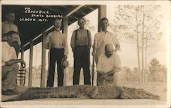 12 Foot Crocodile, Santa Barbara Postcard