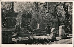 The Ancient City of Gedi Postcard