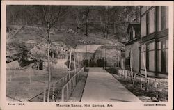 Maurice Spring Hot Springs, AR Postcard Postcard Postcard