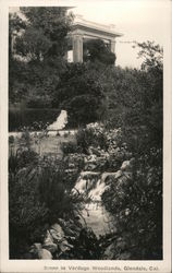 Scene in Verdugo Woodlands Postcard