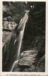 In Wolfskill, San Dimas Canyon California Postcard Postcard Postcard