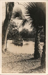 Jungle Cruise Silver Springs, FL Postcard Postcard Postcard