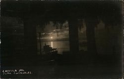 Sunset View Postcard