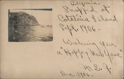 Catalina Island Postcard