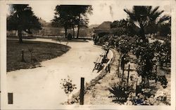 City Park Postcard