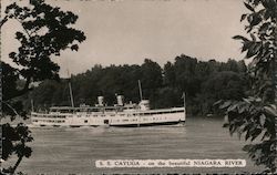 S.S. Cayuga Postcard
