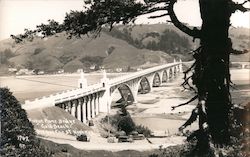 Rogue River Bridge Gold Beach, OR Postcard Postcard Postcard