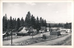 General View of Blairsden Postcard