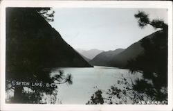 Scenic View Postcard
