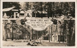 Home of the White Tail Squirrel, Kaibab Nat;l Forest, Harold I Bowman Prop. Jacob Lake, AZ Postcard Postcard 