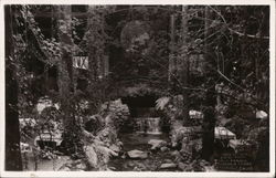 Dining Room, World Famous Brookdale Lodge Postcard