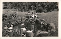 Three Women Seated by Pond Postcard