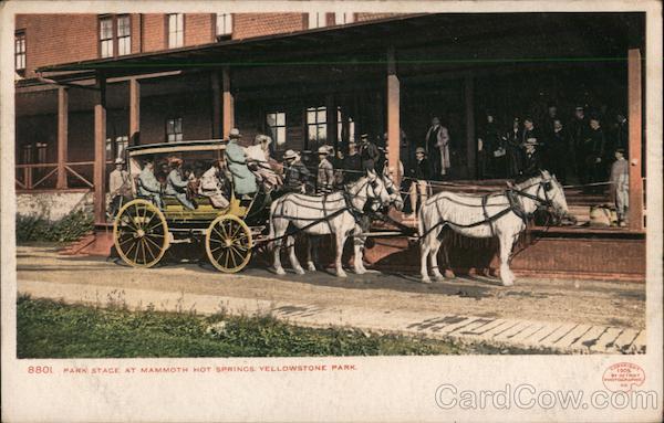 Park Stage at Mammoth Hot Springs, Yellowstone Park