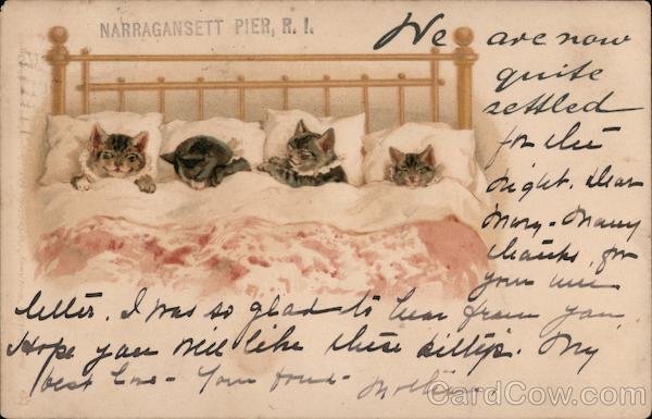 Narragansett Pier - Cats in Bed Rhode Island