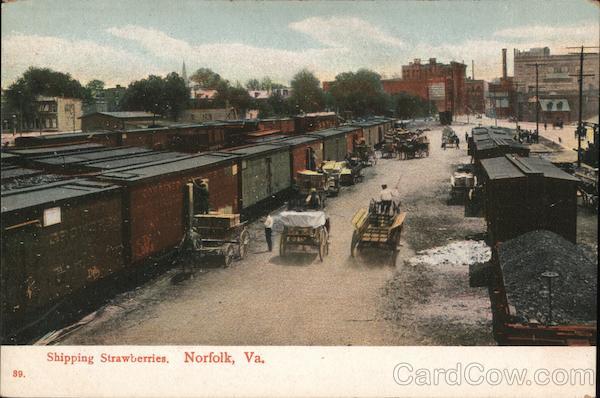 Shipping Strawberries Norfolk Virginia